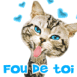 Chat tire la langue "Fou de toi"